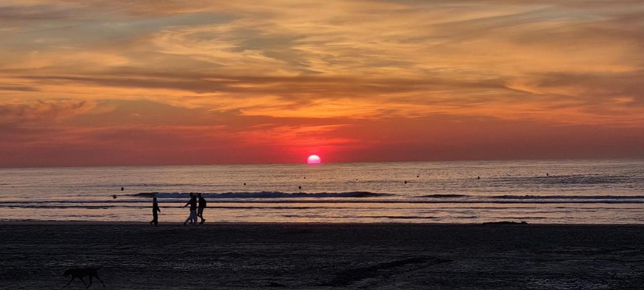 Superbe Studio Avec Une Magnifique Vue Sur La Mer. De Panne Exterior foto